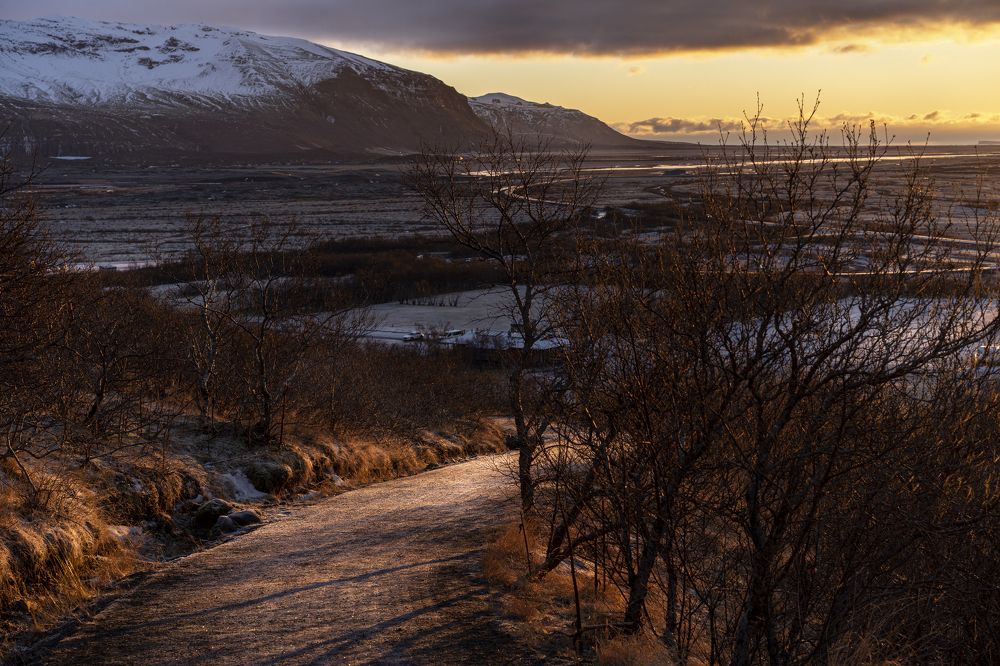 Photograph by Xenia Fedorov