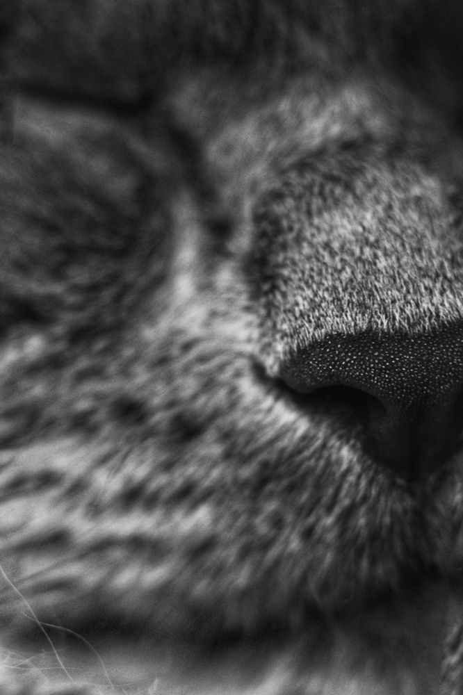 Photograph by Ирина Лучинская