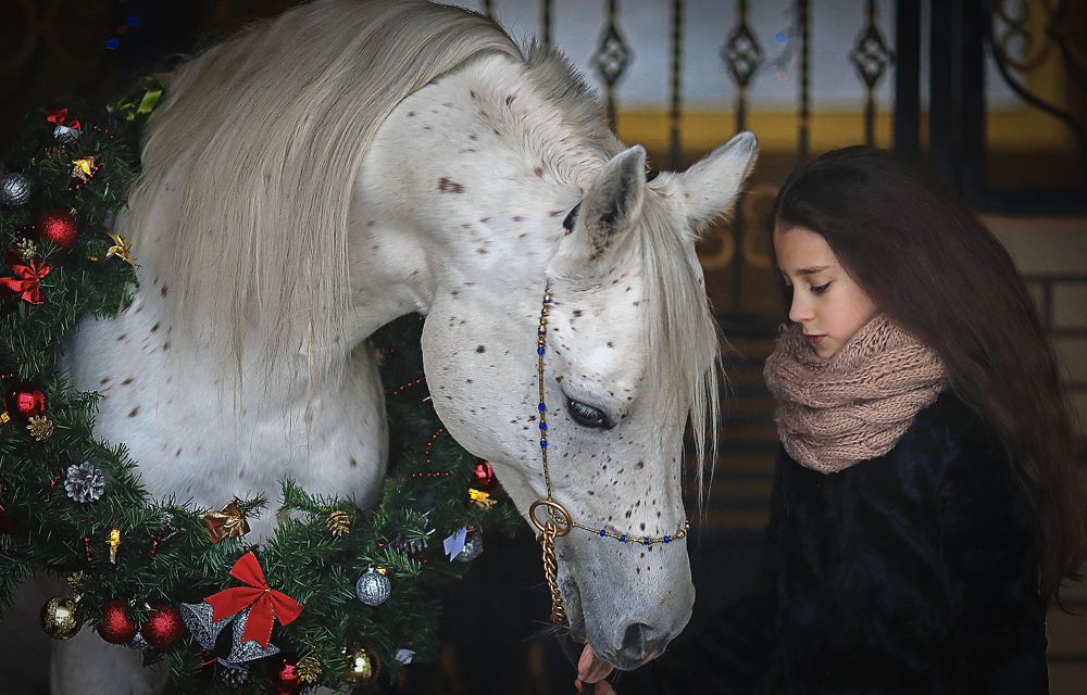 Photograph by Алина Жук