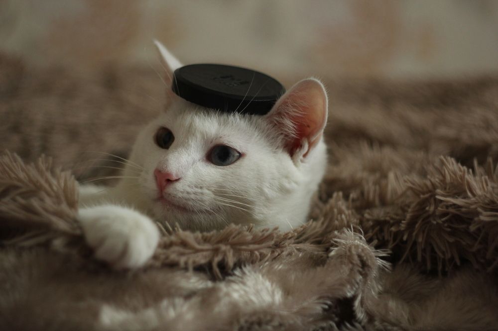 Photograph by Никита Савкин