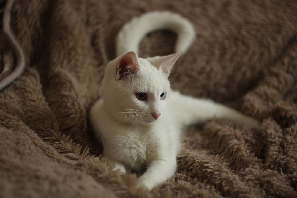 Photograph by Никита Савкин