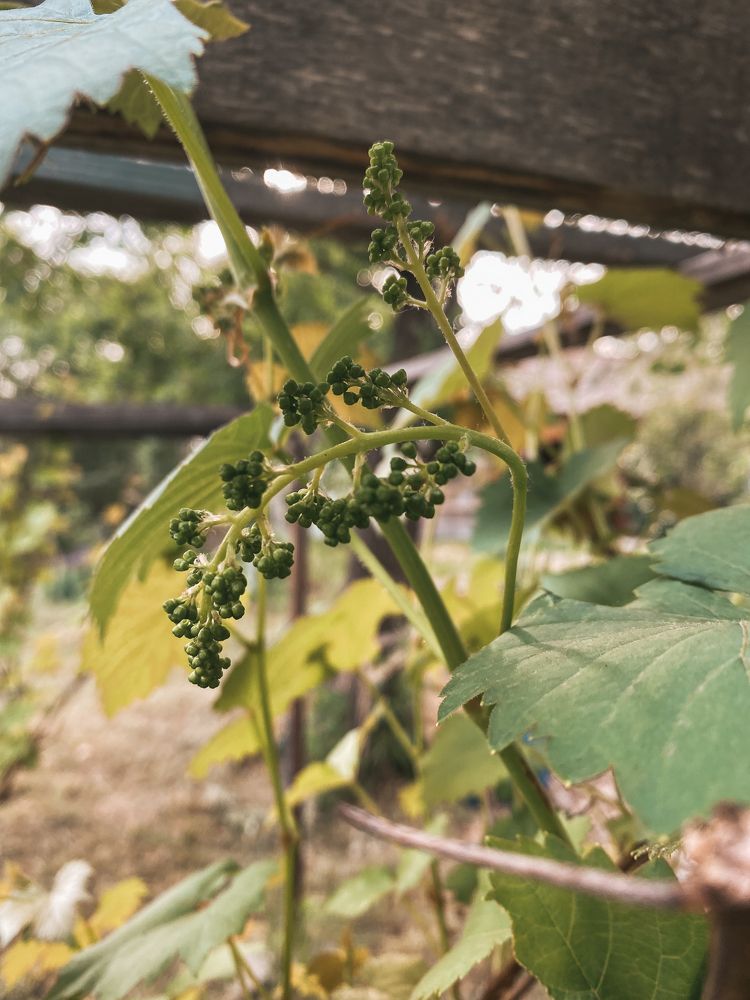 Photograph by Наталья Марчук