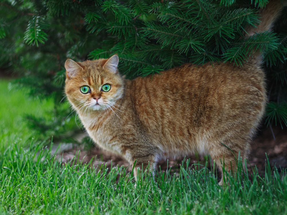 Photograph by Татьяна Кравченко