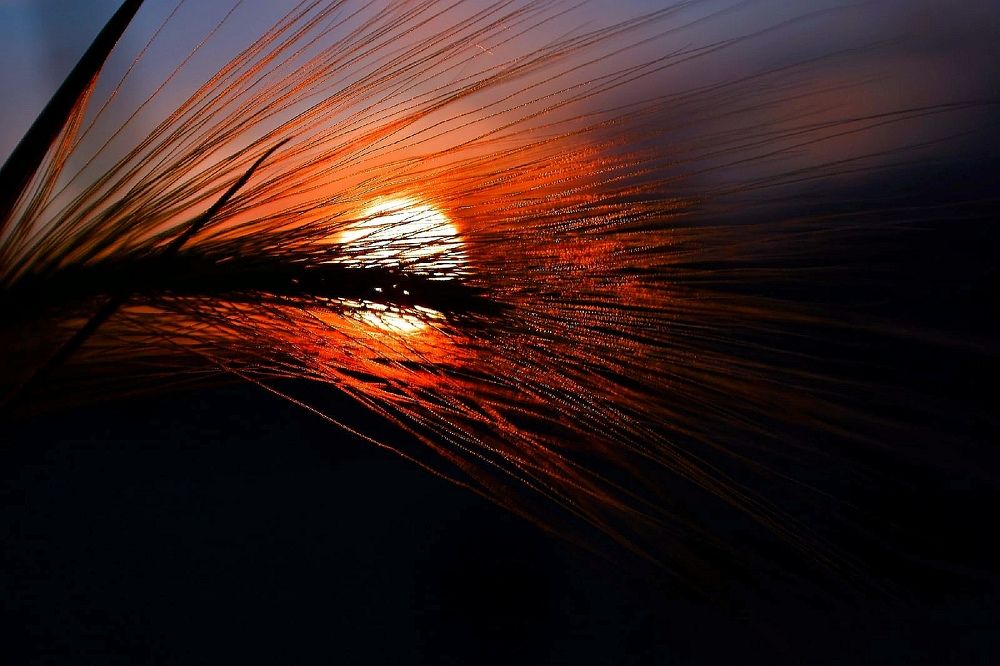 Photograph by Михаил Мехедов