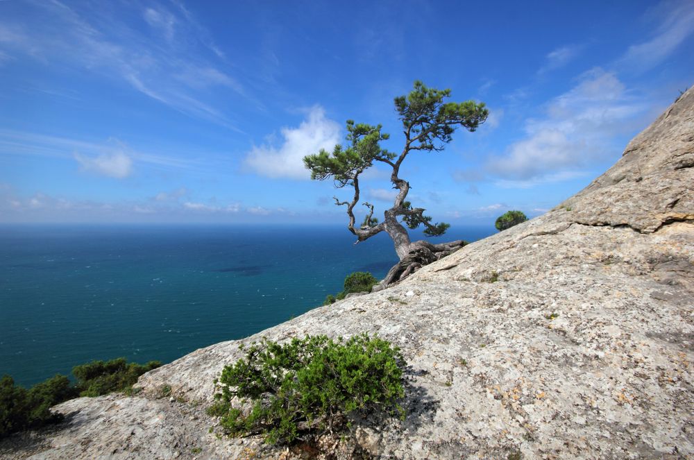 Фотография автора Кухта Мария