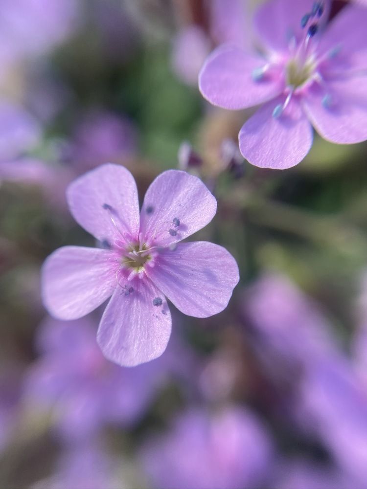 Photograph by Ольга Филатова