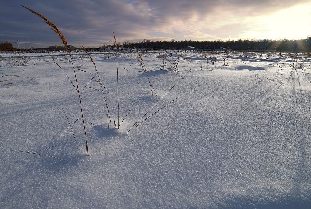 Photograph by Евгений Гонтов