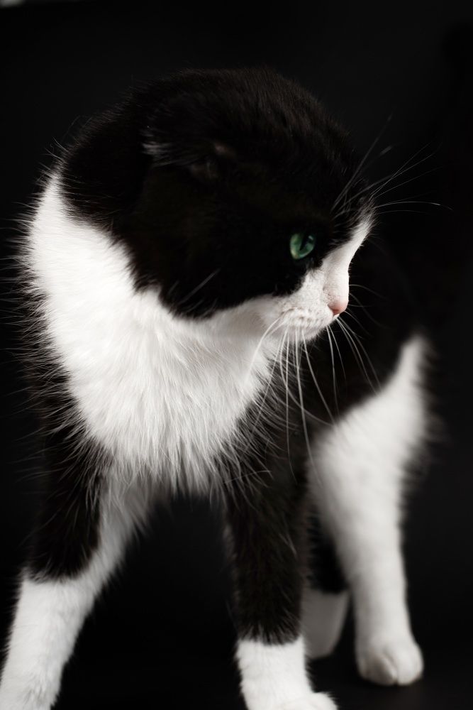 Photograph by Aleksandra Chu