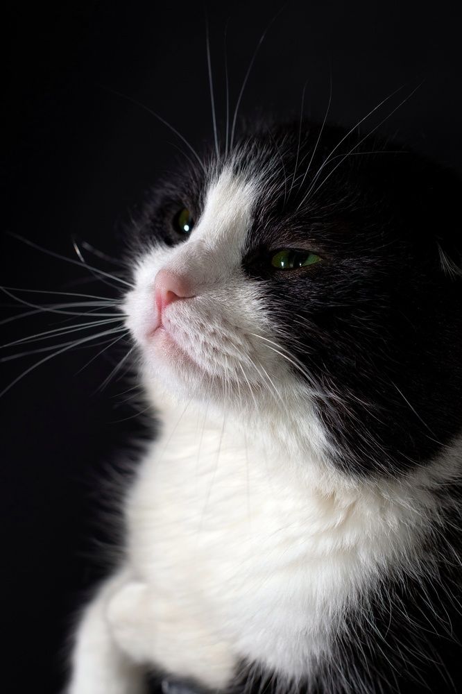 Photograph by Aleksandra Chu