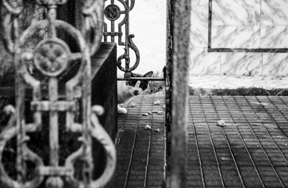 Caminhos pela cidade