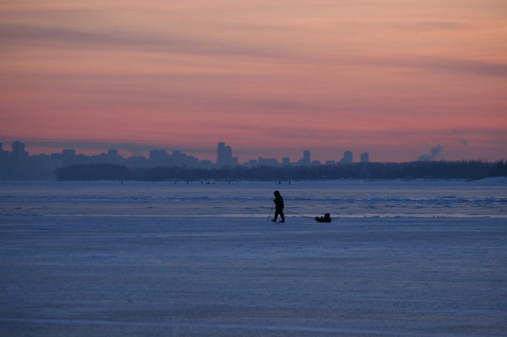 Фотография автора Татьяна Шебаршенко