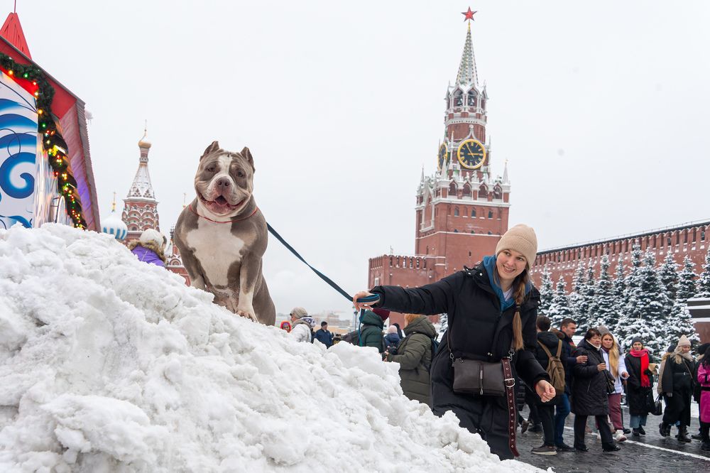 Photograph by Mihail Frolov