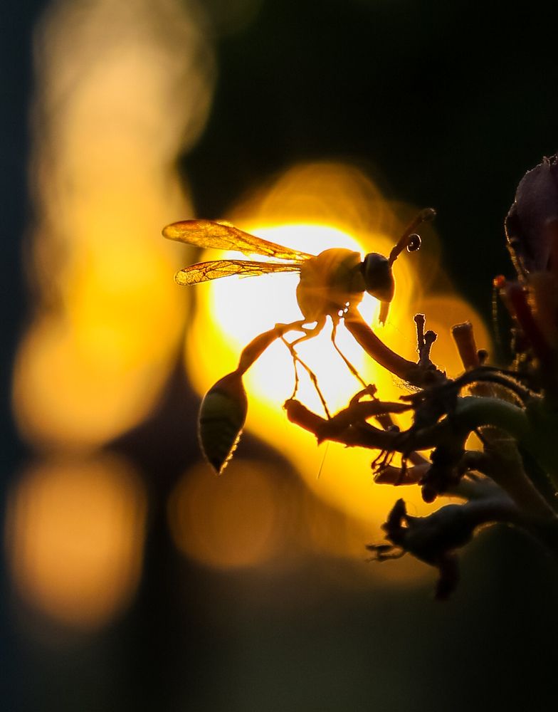 Photograph by Lakshya Sharma