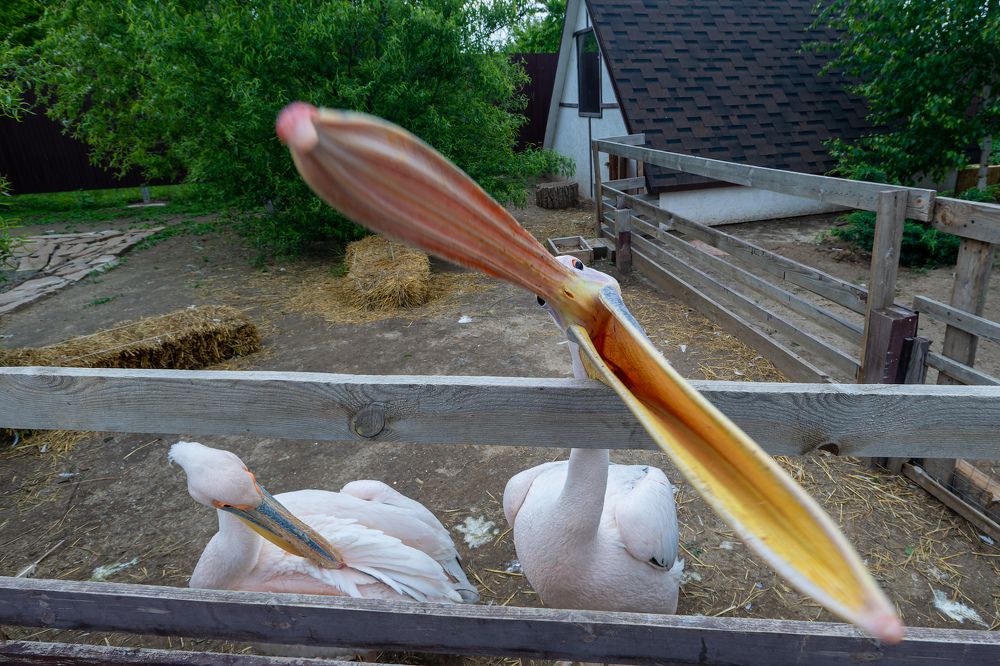 Photograph by Mihail Frolov