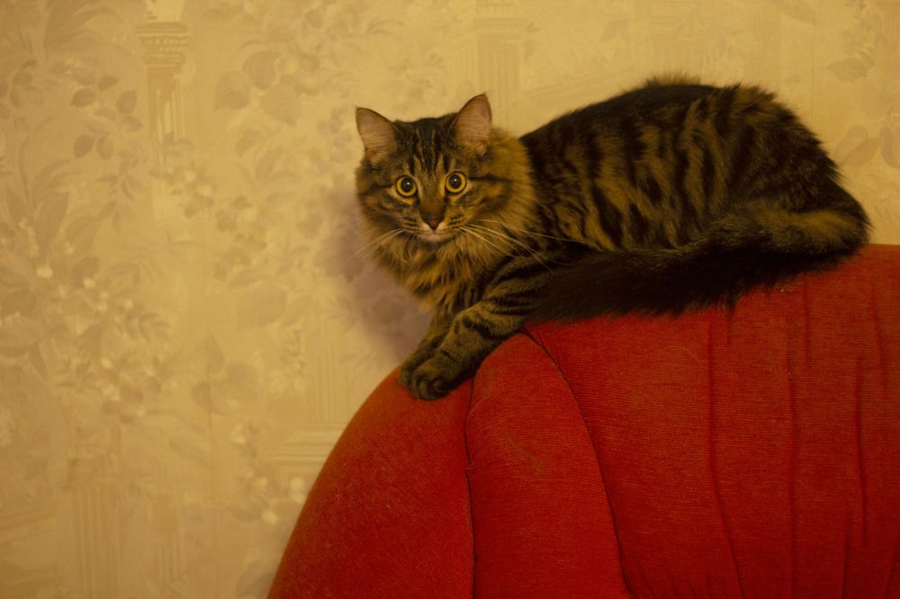 Photograph by Светлана Зотова