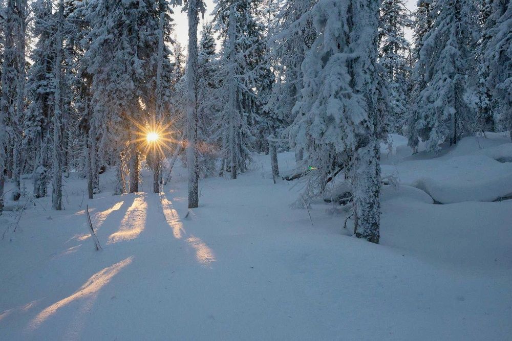 Photograph by Константин Степанов