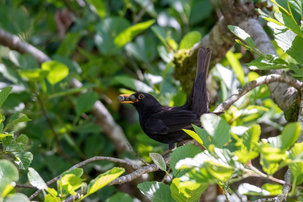 Photograph by Александр Свиблов