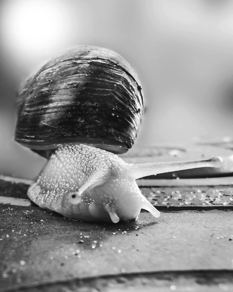 Photograph by Мария Цепилова