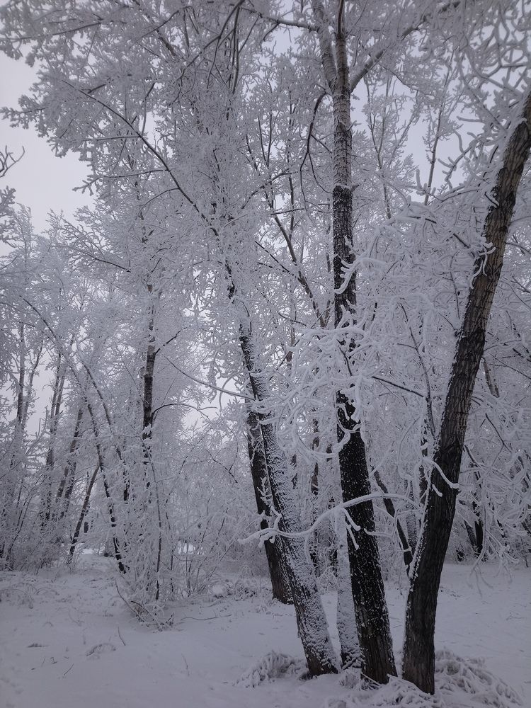 Photograph by Людмила Воропаева