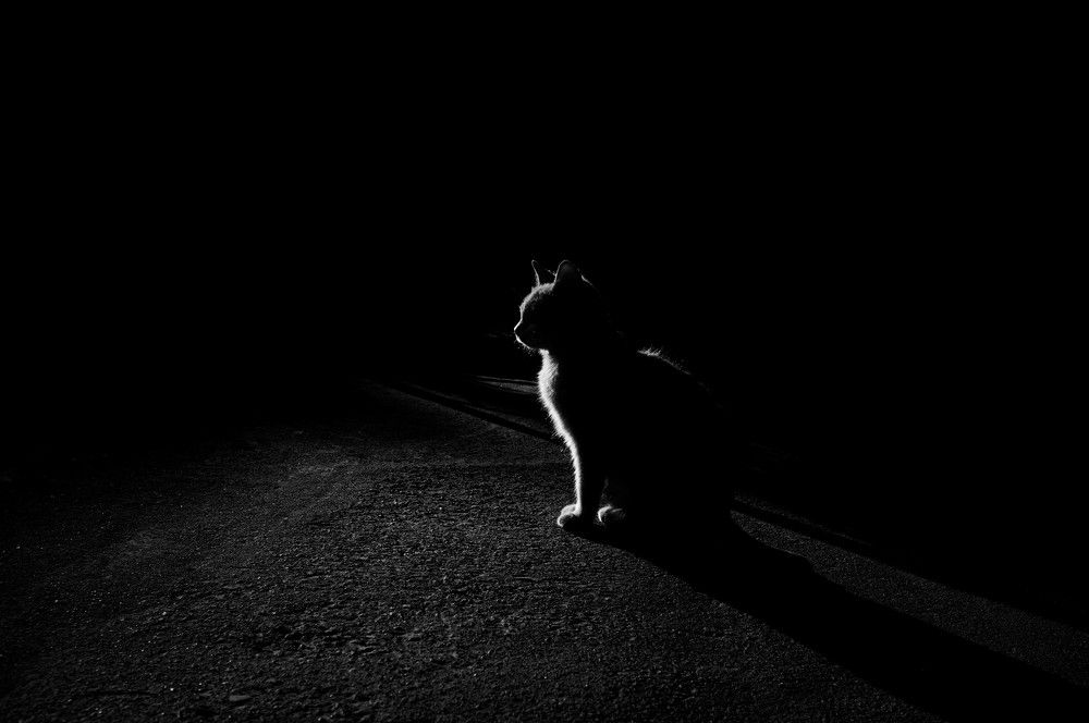 Photograph by Ekaterina Denisenko