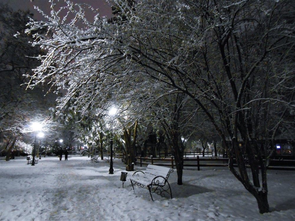 Photograph by Галина Глазкова