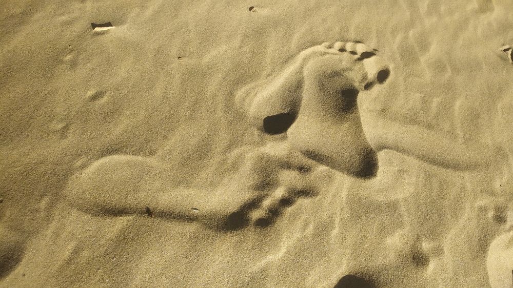 Photograph by Елена Смирнова