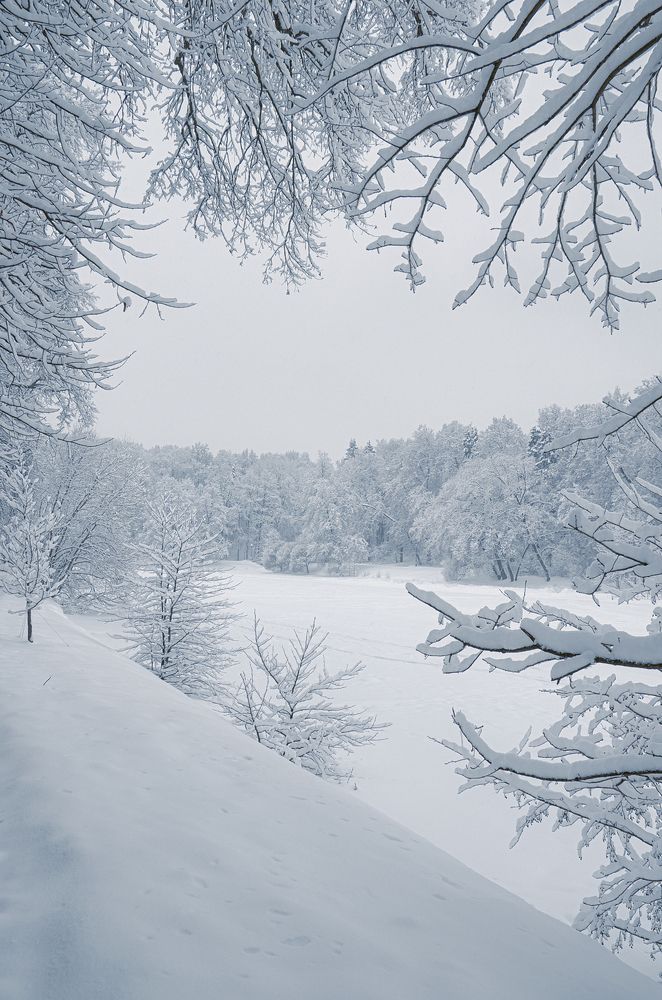 Photograph by Александр Гришин