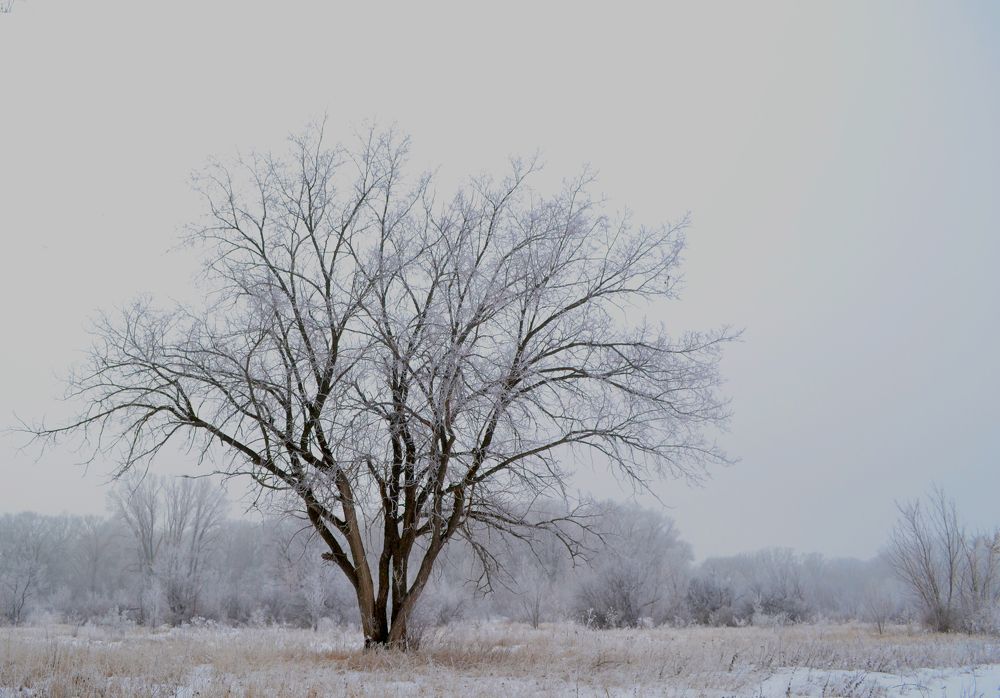 Photograph by Наталья