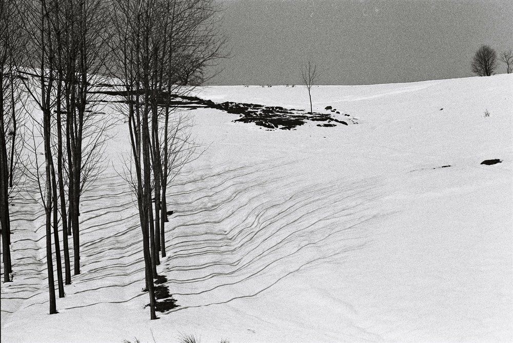 Photograph by Muzaffer Sütlüoğlu