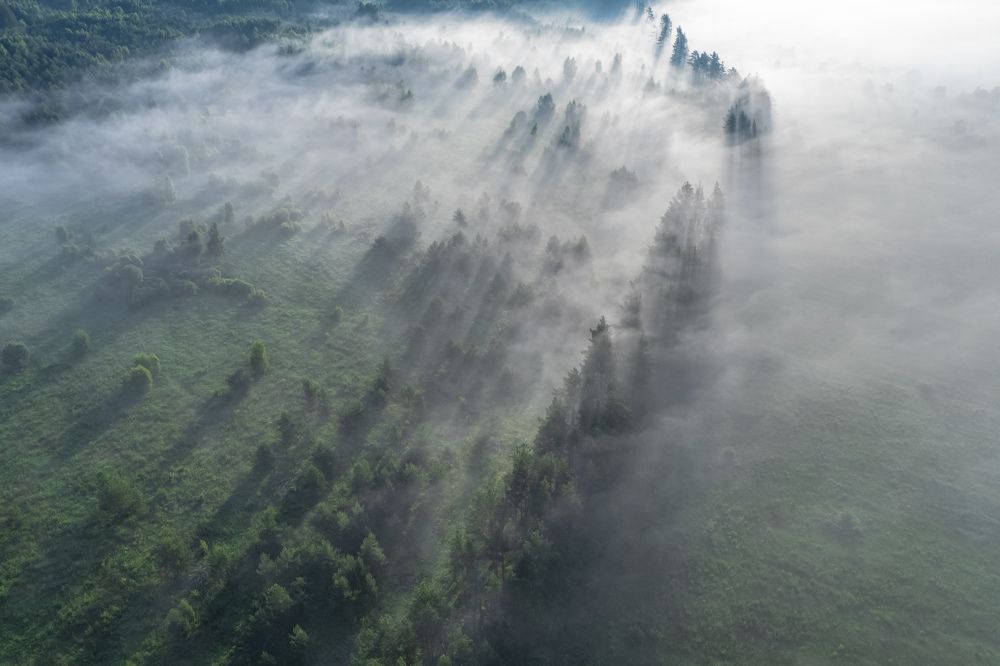 Photograph by Павел Трефилов