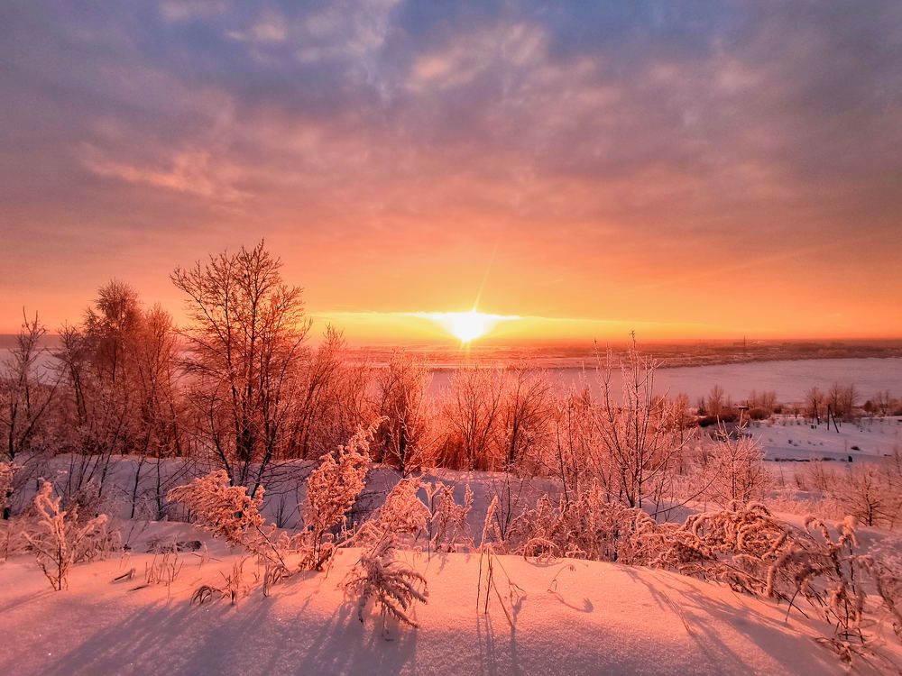 Photograph by Андрей Коротецкий