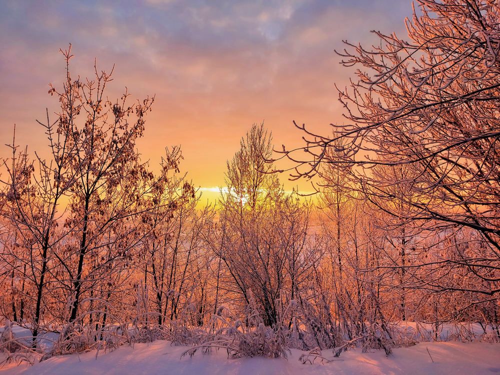 Photograph by Андрей Коротецкий