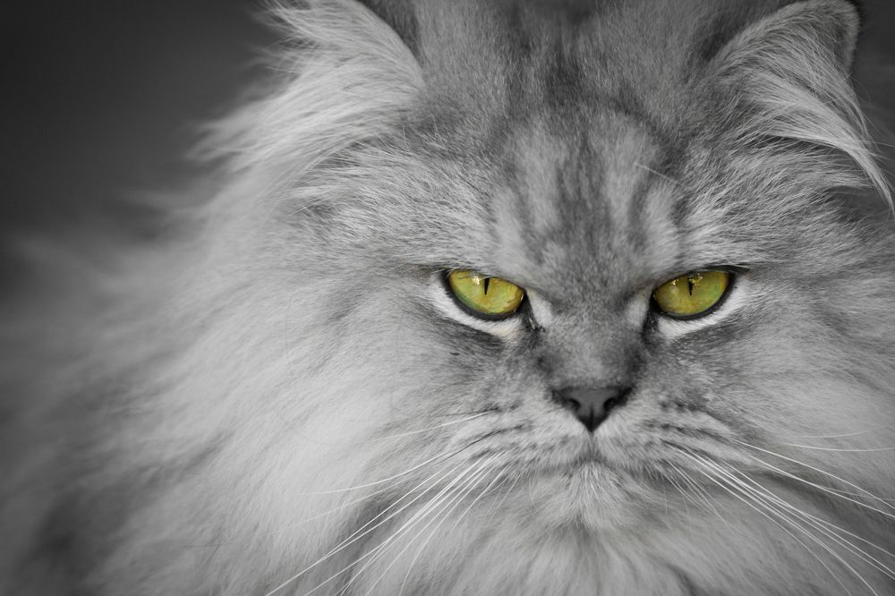 Photograph by nati mr