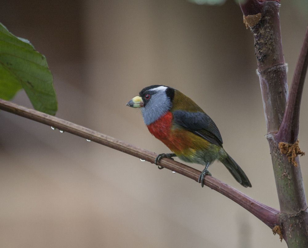 Фотография автора Oskars Smelins