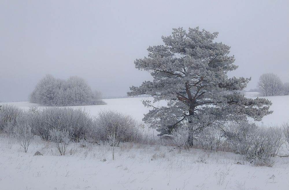 Photograph by Денисов Александр