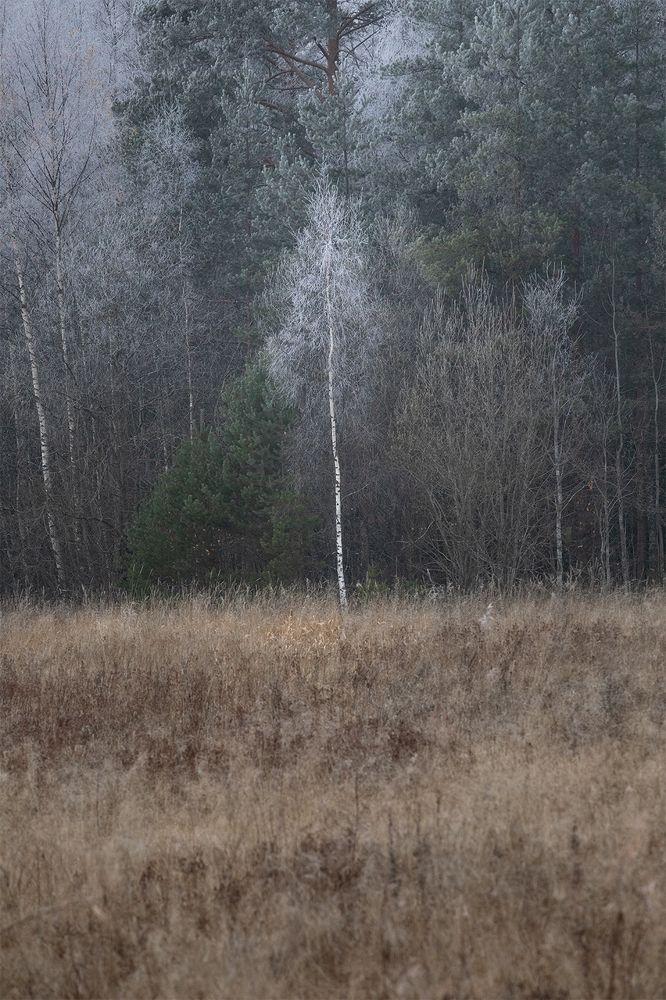 Photograph by Андраханов Олег