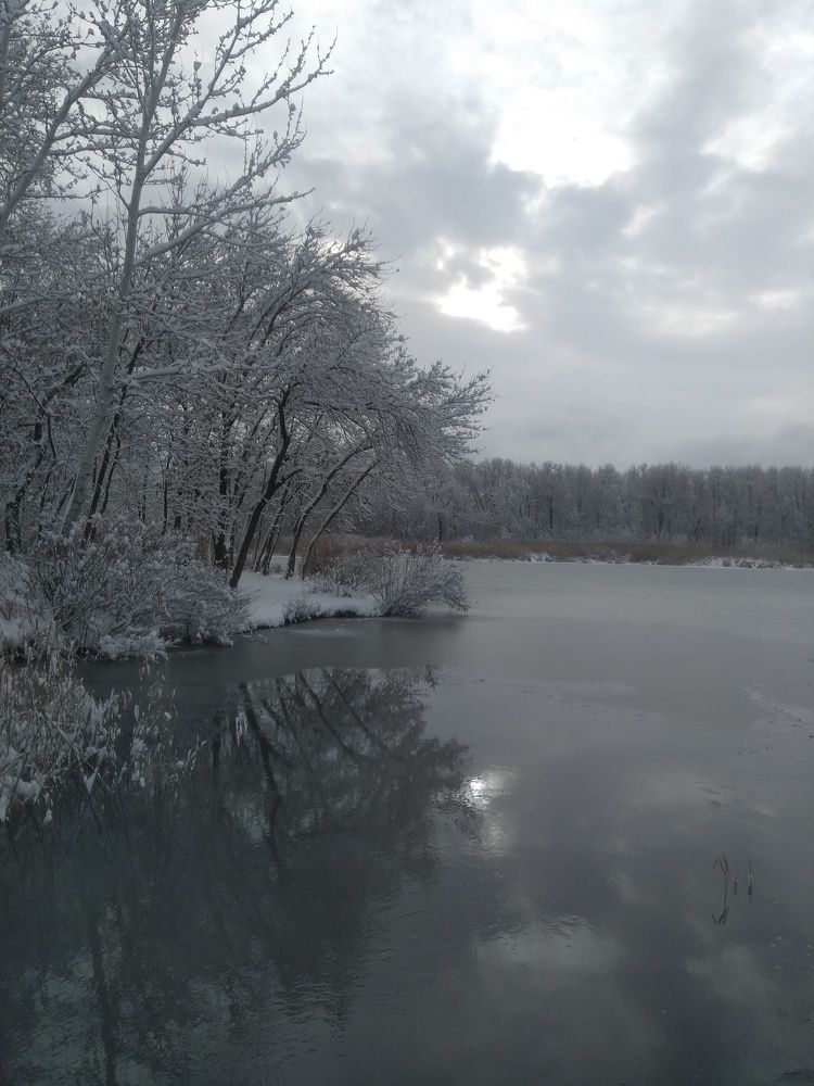 Photograph by Нелли