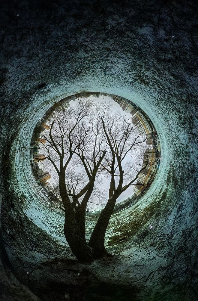 Фотография автора Максим Светличный