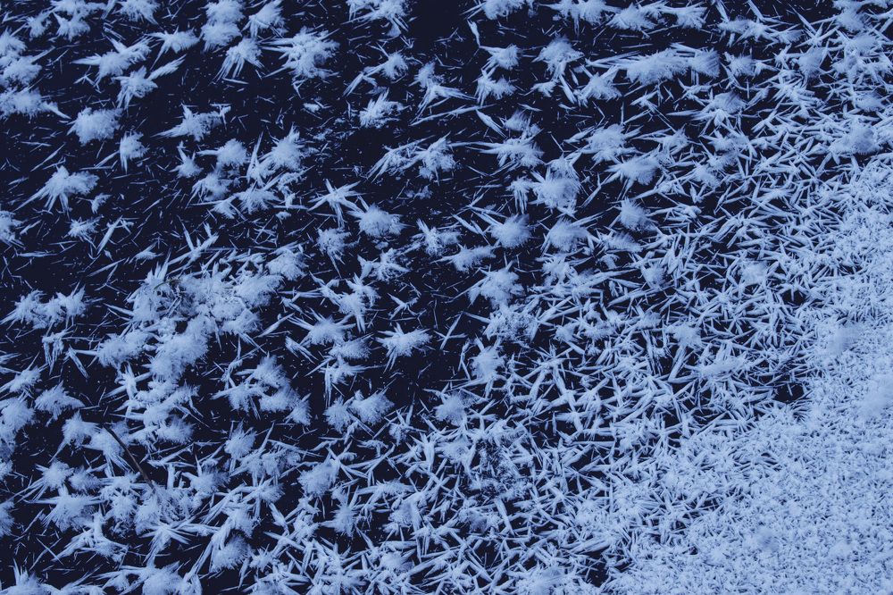 Фотография автора Алексей