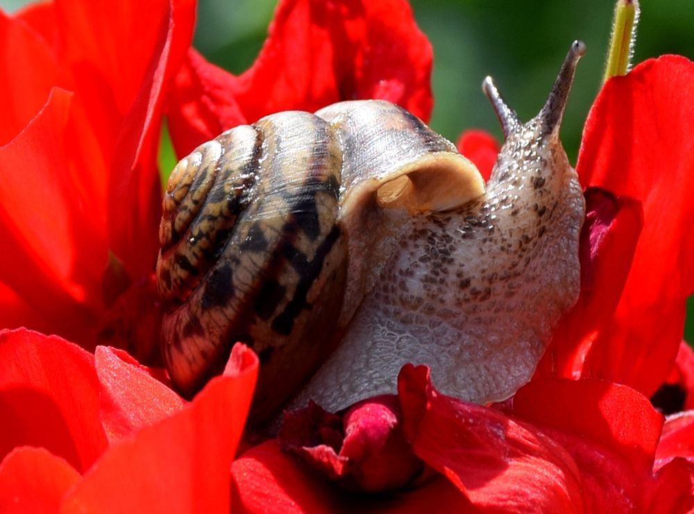 Photograph by  Татьяна Дорожко