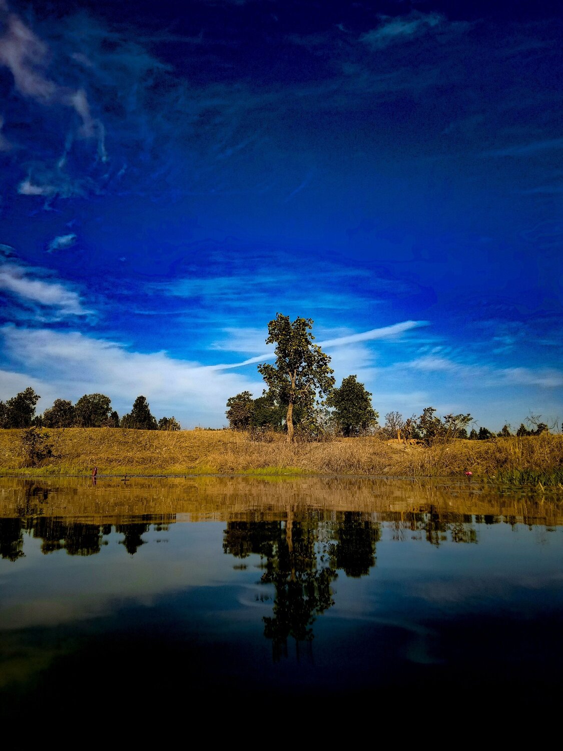 Photo #8708143