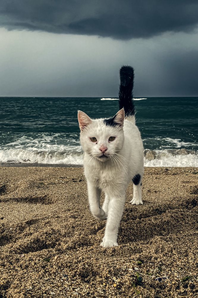 Photograph by Евгений Новицкий