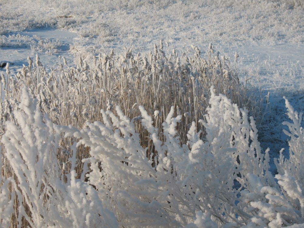 Photograph by Денис Веску