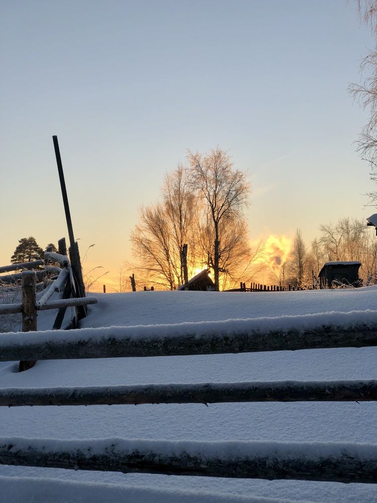 Яркий морозный день