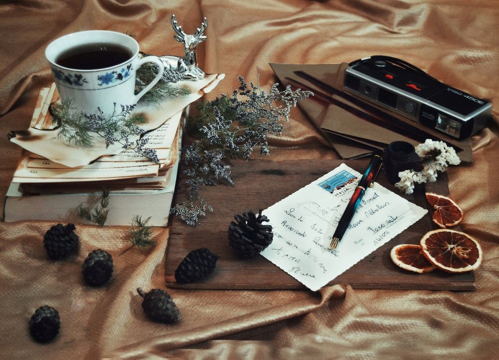 Photograph by Violet Kolahi