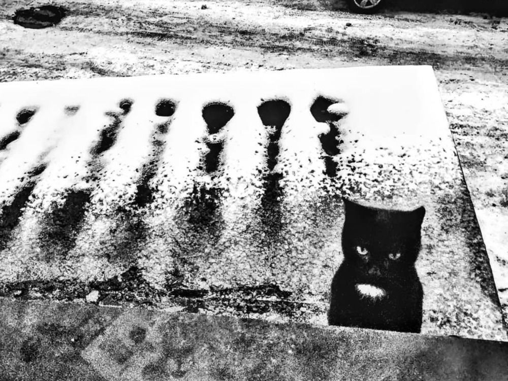 Photograph by Анна Зеленина