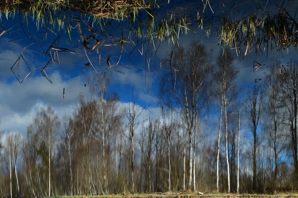 Photograph by Ilze Onzule