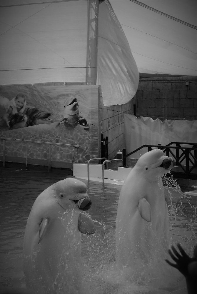 Photograph by Надежда