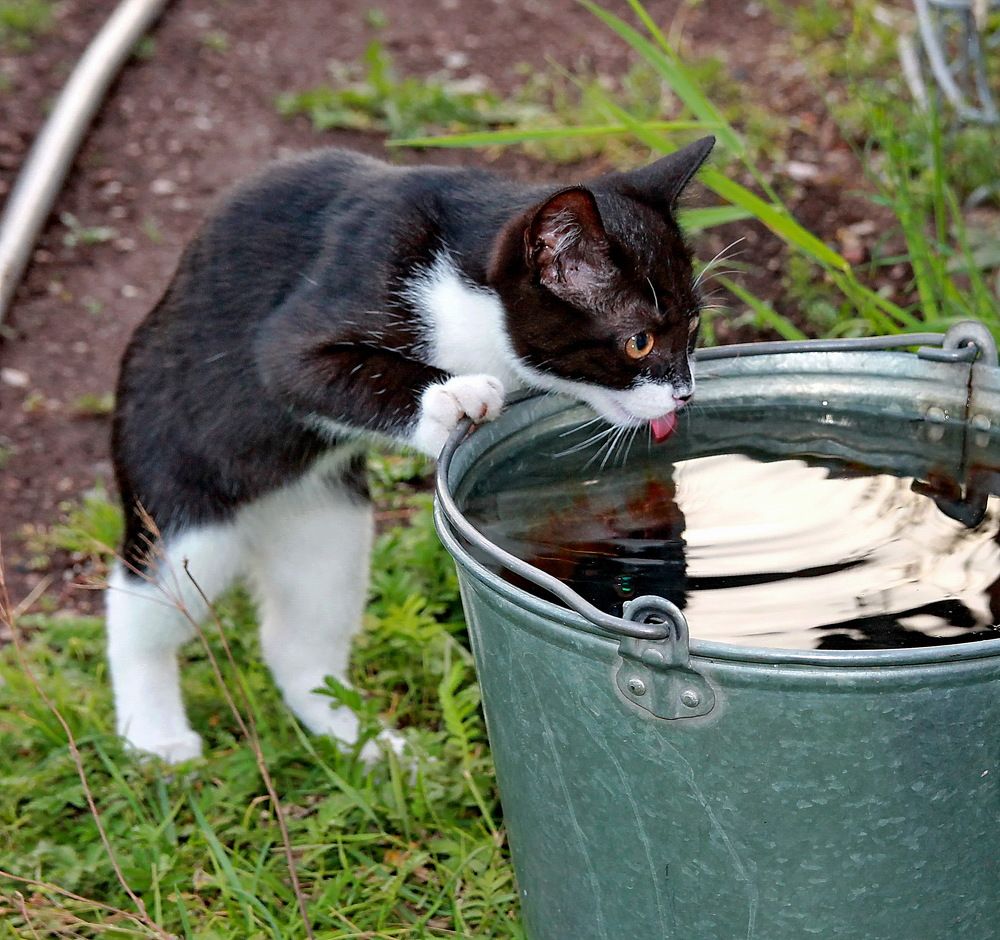 Photograph by Sergei Petrov