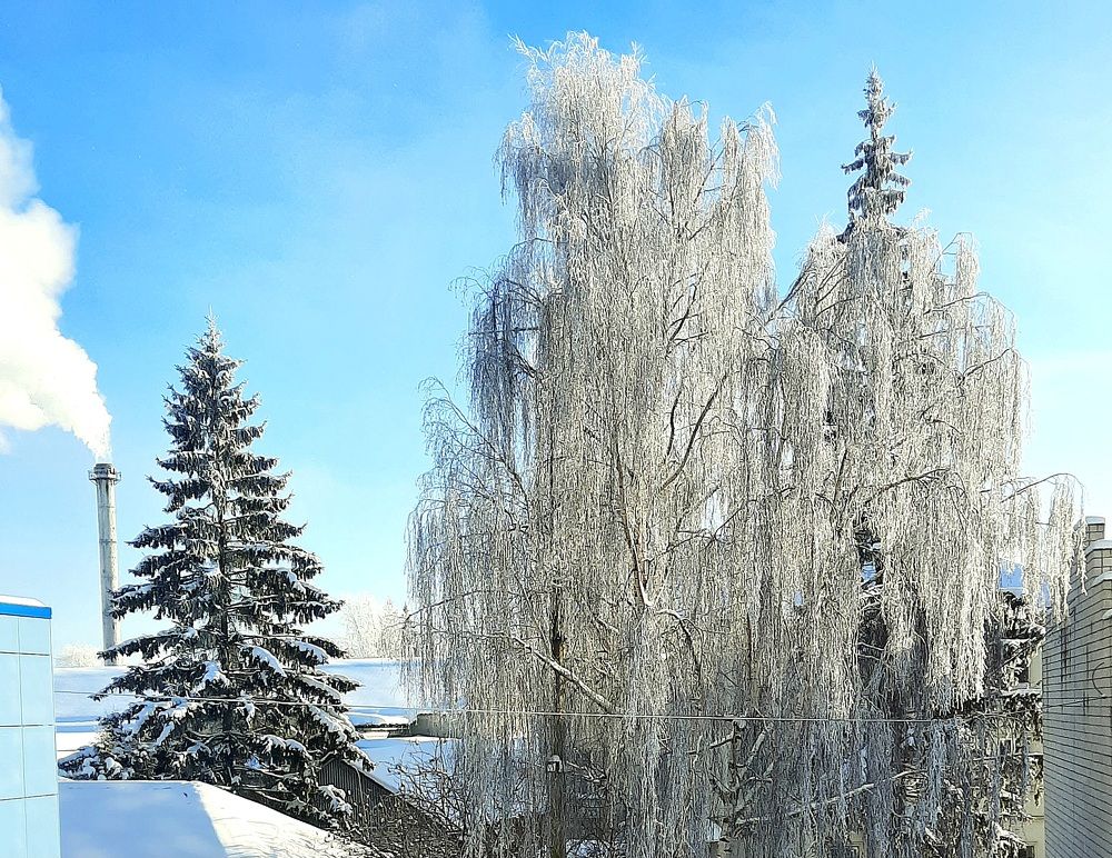 Photograph by Елена Симонова